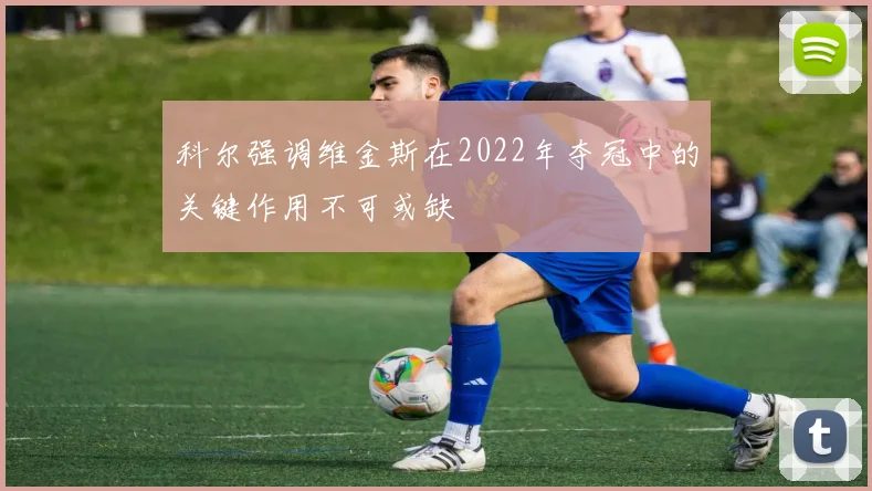 科尔强调维金斯在2022年夺冠中的关键作用不可或缺