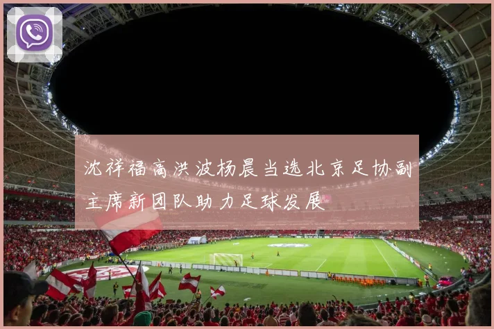 沈祥福高洪波杨晨当选北京足协副主席新团队助力足球发展
