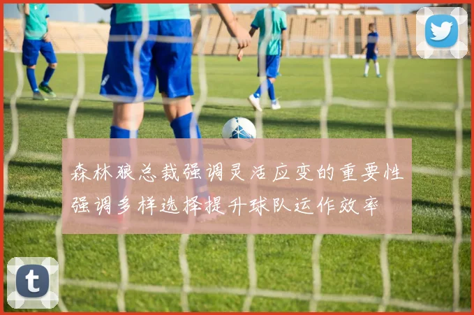 森林狼总裁强调灵活应变的重要性强调多样选择提升球队运作效率