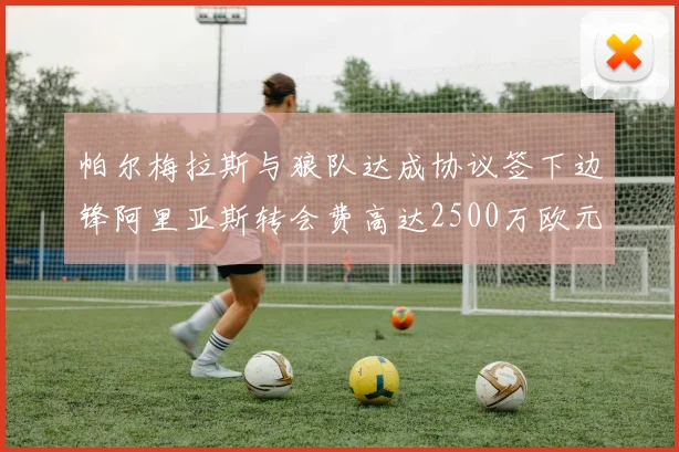 帕尔梅拉斯与狼队达成协议签下边锋阿里亚斯转会费高达2500万欧元